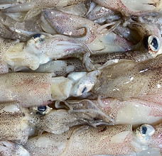 Calamari